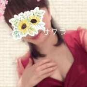ヒメ日記 2026/07/26 05:46 投稿 サクラ ラブコレクション