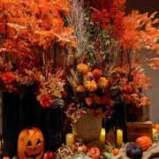 ヒメ日記 2025/02/25 18:20 投稿 冨永かがり Mrs.Dreamer