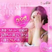 ヒメ日記 2025/04/11 17:43 投稿 あやせ Ace(エース)