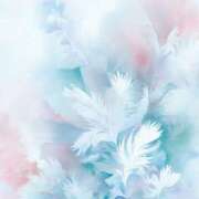 ヒメ日記 2025/05/24 05:41 投稿 あやせ Ace(エース)