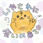 ヒメ日記 2025/11/30 10:39 投稿 あやせ Ace(エース)