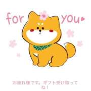 ヒメ日記 2026/04/27 11:01 投稿 あやせ Ace(エース)