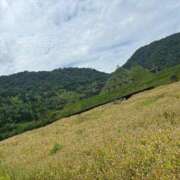 ヒメ日記 2025/07/02 12:00 投稿 かすが コンプレックス(京都)