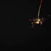 ヒメ日記 2025/07/30 11:30 投稿 かすが コンプレックス(京都)