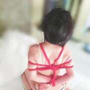 ヒメ日記 2025/11/20 12:00 投稿 かすが コンプレックス(京都)