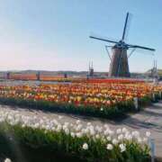 ヒメ日記 2025/04/04 21:49 投稿 水嶋さち 手コキ研修塾