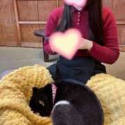 ヒメ日記 2025/11/21 14:34 投稿 水嶋さち 手コキ研修塾