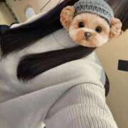 ヒメ日記 2025/11/23 13:44 投稿 水嶋さち 手コキ研修塾