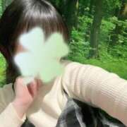 ヒメ日記 2026/02/14 19:54 投稿 水嶋さち 手コキ研修塾