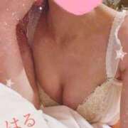 ヒメ日記 2024/12/12 21:45 投稿 吉田はる（よしだはる） 桃色奥様(佐賀)