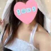 ヒメ日記 2024/12/20 20:20 投稿 吉田はる（よしだはる） 桃色奥様(佐賀)