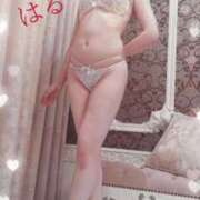 ヒメ日記 2025/05/21 07:55 投稿 吉田はる（よしだはる） 桃色奥様(佐賀)