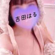 ヒメ日記 2026/01/31 10:15 投稿 吉田はる（よしだはる） 桃色奥様(佐賀)