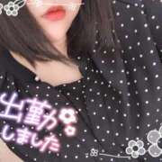 ヒメ日記 2024/12/14 10:19 投稿 いおり 香川高松ちゃんこ