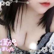 ヒメ日記 2025/01/15 10:15 投稿 いおり 香川高松ちゃんこ