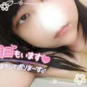 ヒメ日記 2025/03/04 23:29 投稿 いおり 香川高松ちゃんこ