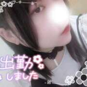 ヒメ日記 2025/05/17 10:22 投稿 いおり 香川高松ちゃんこ