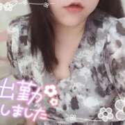 ヒメ日記 2025/07/12 12:29 投稿 いおり 香川高松ちゃんこ