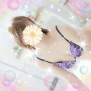 ヒメ日記 2025/03/23 10:43 投稿 小暮 咲希 こあくまな熟女たち 京都店(KOAKUMAグループ)