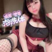 ヒメ日記 2025/04/26 11:26 投稿 ねむ チューリップ福井別館