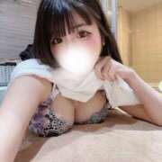 ヒメ日記 2025/07/29 09:38 投稿 ねむ チューリップ福井別館