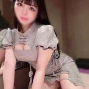 ヒメ日記 2025/08/28 08:24 投稿 ねむ チューリップ福井別館