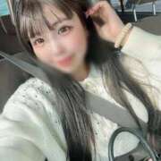 ヒメ日記 2025/04/19 16:24 投稿 ねむ チューリップ福井本館