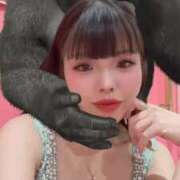 ヒメ日記 2025/10/31 12:54 投稿 ねむ チューリップ福井本館