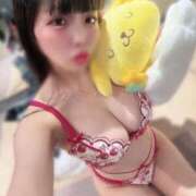 ヒメ日記 2025/11/04 08:04 投稿 ねむ チューリップ福井本館