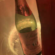 ヒメ日記 2025/03/03 21:45 投稿 なな マシュマロフロート