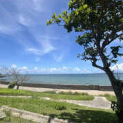 ヒメ日記 2025/06/24 18:18 投稿 なな マシュマロフロート