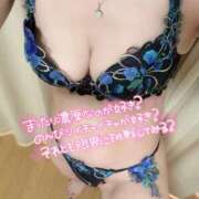 ヒメ日記 2025/04/23 20:52 投稿 まりえ 西船人妻花壇