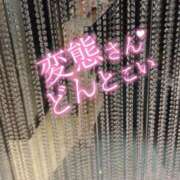 ヒメ日記 2025/05/30 19:00 投稿 まりえ 西船人妻花壇