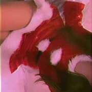 ヒメ日記 2025/12/15 16:24 投稿 てぃな INFINITY GOLD～インフィニティゴールド～