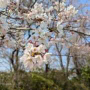 ヒメ日記 2025/04/05 18:51 投稿 (コスパ)梅野ようこ/地元出身 風俗イキタイいわき店