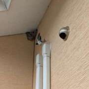 ヒメ日記 2025/05/18 14:41 投稿 (コスパ)梅野ようこ/地元出身 風俗イキタイいわき店