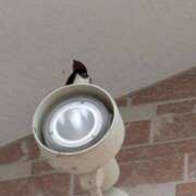 ヒメ日記 2025/05/23 18:02 投稿 (コスパ)梅野ようこ/地元出身 風俗イキタイいわき店