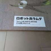 ヒメ日記 2025/07/14 10:56 投稿 (コスパ)梅野ようこ/地元出身 風俗イキタイいわき店