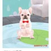 ヒメ日記 2025/07/14 23:21 投稿 (コスパ)梅野ようこ/地元出身 風俗イキタイいわき店