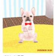 ヒメ日記 2025/07/19 17:33 投稿 (コスパ)梅野ようこ/地元出身 風俗イキタイいわき店