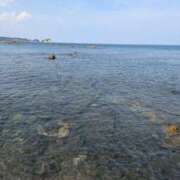 ヒメ日記 2025/08/22 19:51 投稿 (コスパ)梅野ようこ/地元出身 風俗イキタイいわき店