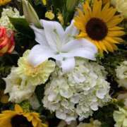 ヒメ日記 2025/10/04 20:21 投稿 (コスパ)梅野ようこ/地元出身 風俗イキタイいわき店