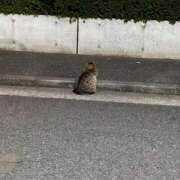 ヒメ日記 2025/05/14 01:22 投稿 みかな 素人美少女専門　新横浜アンジェリーク（アンジェリークグループ）