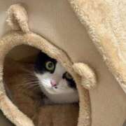 ヒメ日記 2025/01/31 14:27 投稿 海風　凪沙 エンジェルコースト