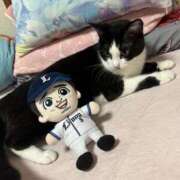 ヒメ日記 2025/05/31 04:33 投稿 海風　凪沙 エンジェルコースト