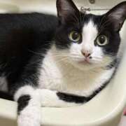 ヒメ日記 2025/07/30 17:59 投稿 海風　凪沙 エンジェルコースト