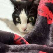 海風　凪沙 出勤だよ エンジェルコースト