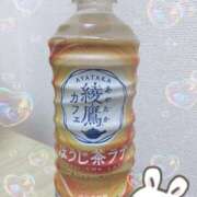 ヒメ日記 2025/03/19 21:58 投稿 ねむ ホテピン