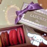 ヒメ日記 2025/04/14 15:08 投稿 ねむ ホテピン