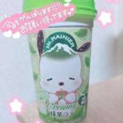 ヒメ日記 2025/08/01 14:38 投稿 ねむ ホテピン